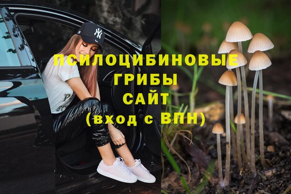 альфа пвп VHQ Кукмор