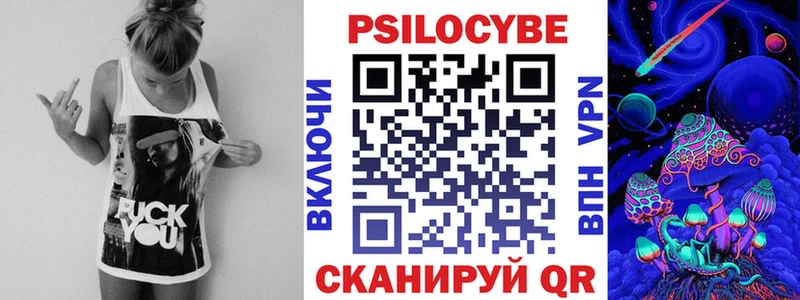 купить наркотик  Торопец  OMG зеркало  Псилоцибиновые грибы мицелий 